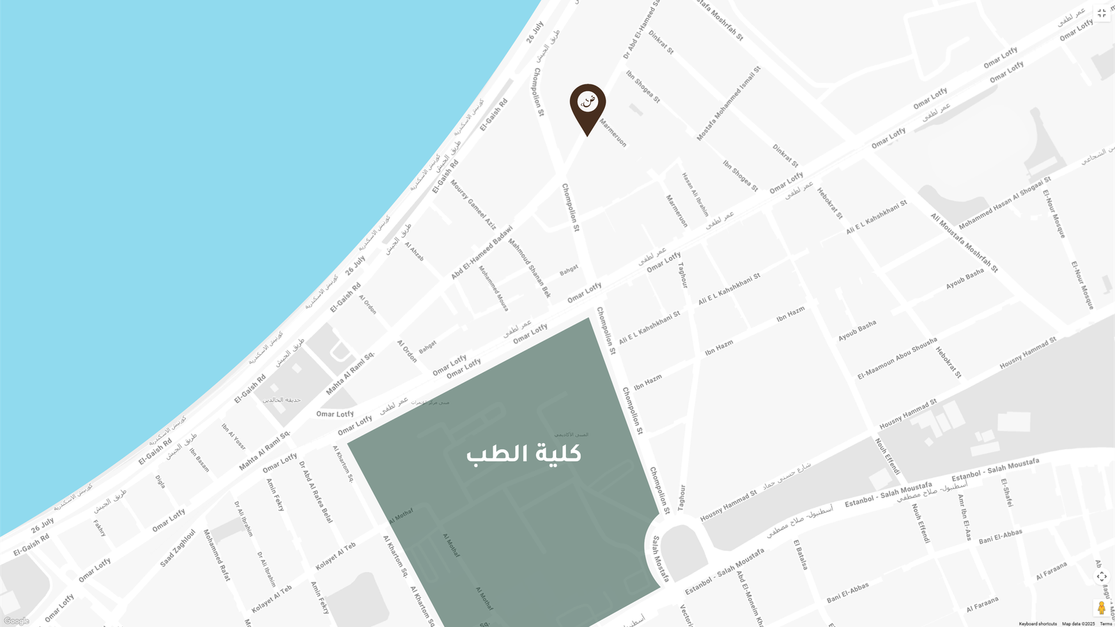 صورة عن ضاد